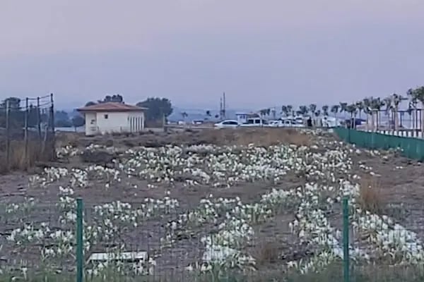 Boğaz Otel - Resim 19