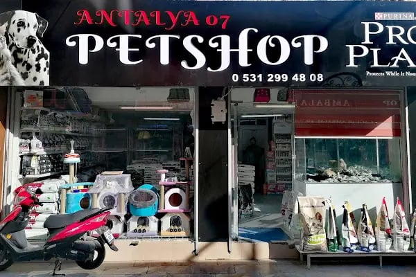 Antalya 07 PetShop - Resim 2