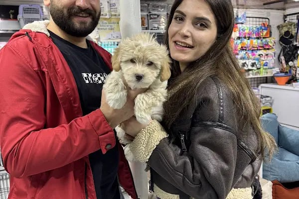 Antalya 07 PetShop - Resim 1