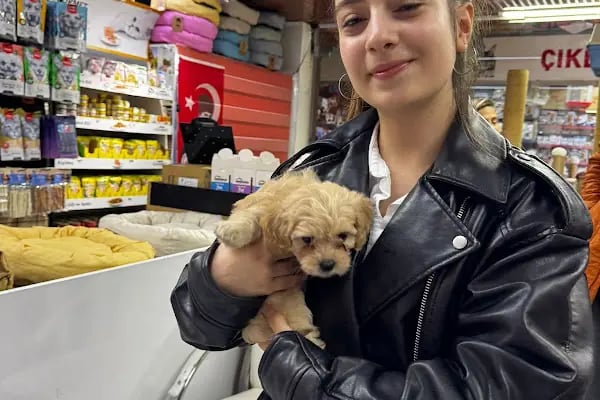 Antalya 07 PetShop - Resim 15