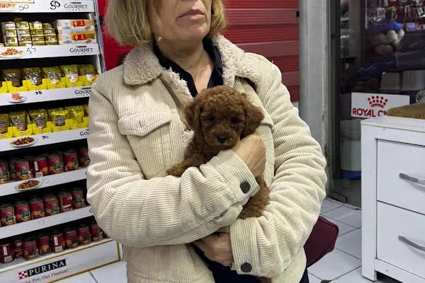 Antalya 07 PetShop - Resim 13