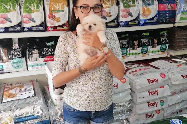 Antalya 07 PetShop - Resim 3