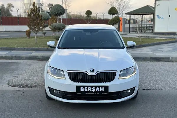 BERŞAH OTOMOTİV OTONOMİ - Resim 8