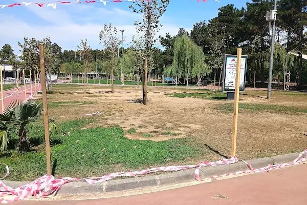 Şehit Üsteğmen Arif Kalafat Doğa Parkı - Resim 4
