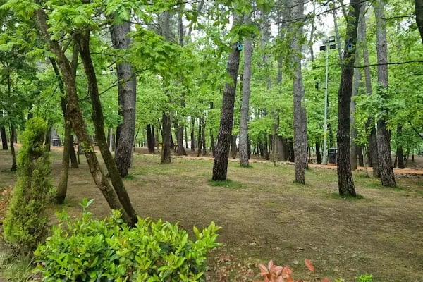 Şehit Üsteğmen Arif Kalafat Doğa Parkı - Resim 6