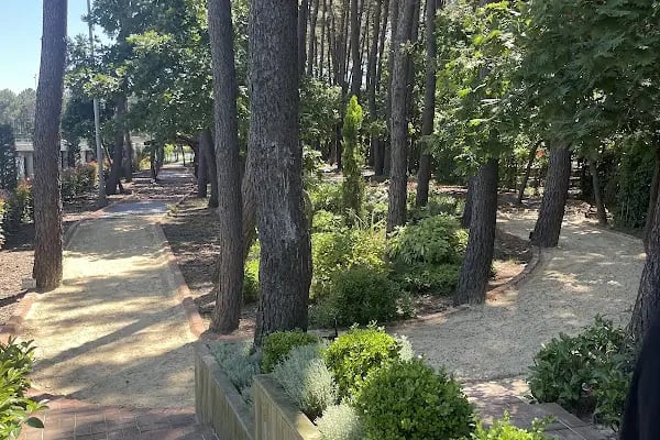 Şehit Üsteğmen Arif Kalafat Doğa Parkı - Resim 14