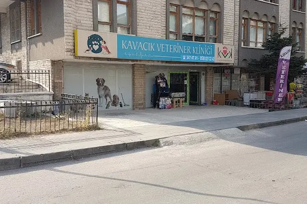 KAVACIK VETERİNER KLİNİĞİ - Resim 2
