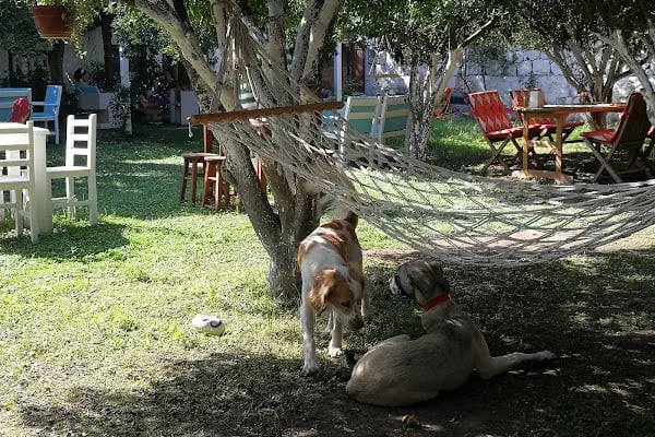 Meleğin Bahçesi (Angels Garden - Yalıkavak) - Resim 12