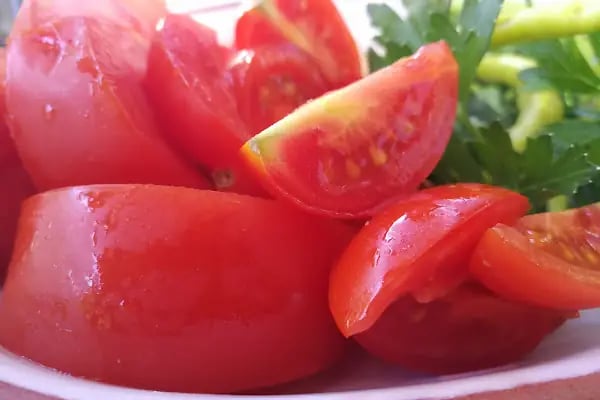 Meleğin Bahçesi (Angels Garden - Yalıkavak) - Resim 14