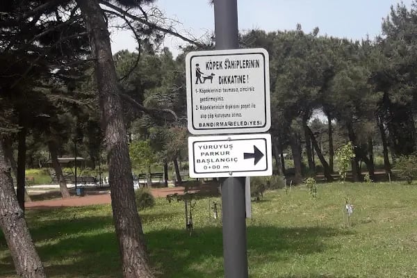 General Balcı Çamlığı - Resim 8