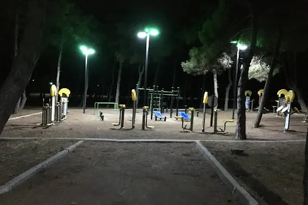 General Balcı Çamlığı - Resim 6