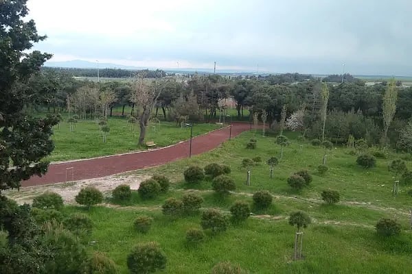 General Balcı Çamlığı - Resim 16