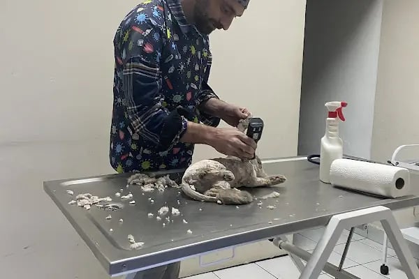 BÖRÜ Veteriner Kliniği - Resim 8