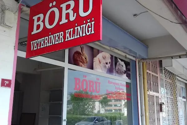 BÖRÜ Veteriner Kliniği - Resim 7