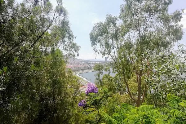 İzmir Büyükşehir Belediyesi Susuzdede Parkı - Resim 8