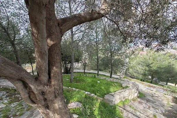İzmir Büyükşehir Belediyesi Susuzdede Parkı - Resim 5