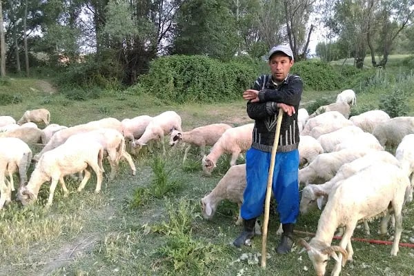 Altunkalem Parkı - Resim 15