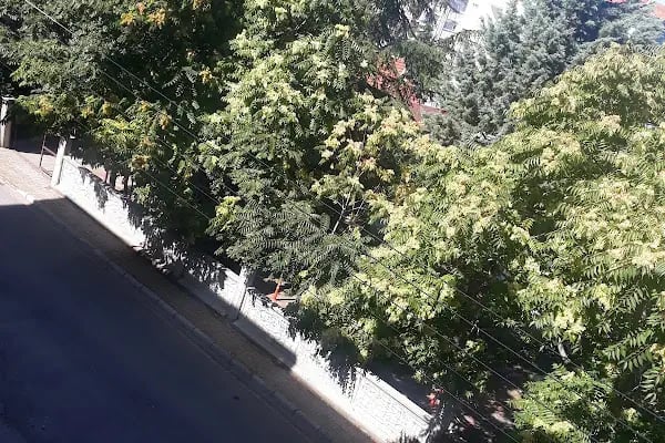 Altunkalem Parkı - Resim 9