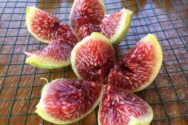 Niz Nazilli İncir Tarım Ürünleri Dried Figs Agricultural Products - Resim 14