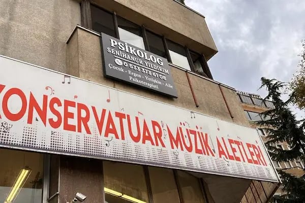 Psikolog Senihanur Yıldırım - Resim 3