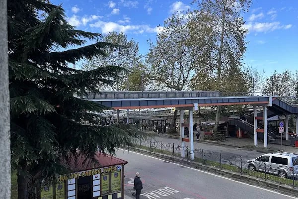 Psikolog Senihanur Yıldırım - Resim 14