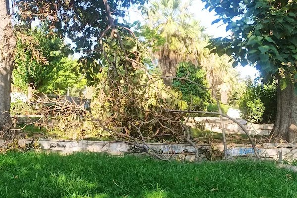İzmir Büyükşehir Belediyesi M. Yüce Sonkurt Parkı - Resim 7