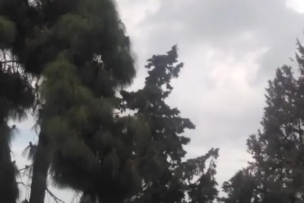 İzmir Büyükşehir Belediyesi M. Yüce Sonkurt Parkı - Resim 19