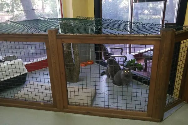 Pet Bursa - Resim 5