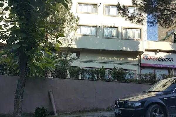 Pet Bursa - Resim 9