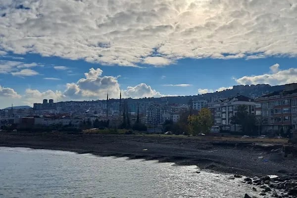 Söğütlü Plajı - Resim 5