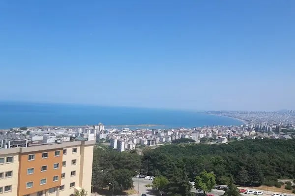 Ondokuz Mayıs Üniversitesi - Resim 9
