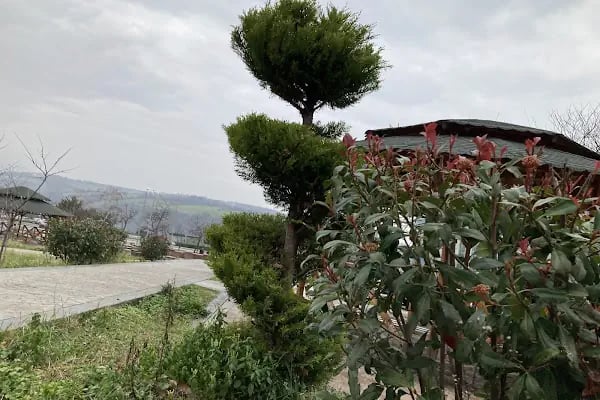 Ondokuz Mayıs Üniversitesi - Resim 14