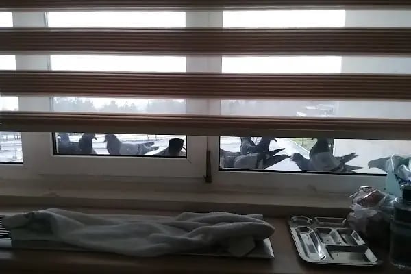 Ondokuz Mayıs Üniversitesi - Resim 16