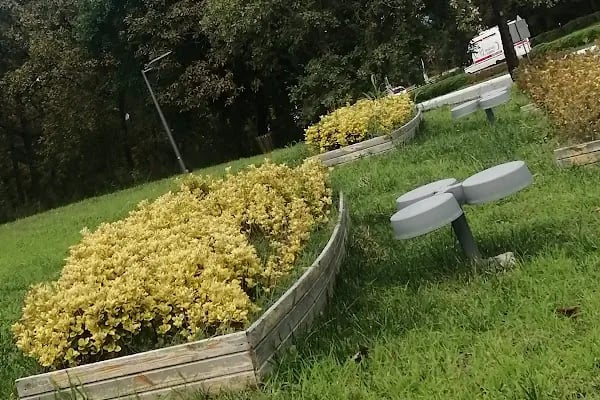 Ondokuz Mayıs Üniversitesi - Resim 19