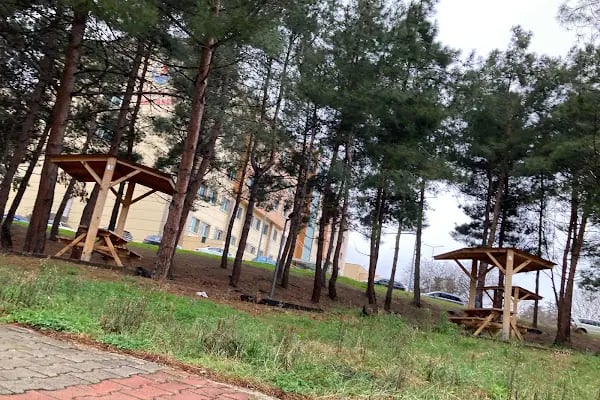 Ondokuz Mayıs Üniversitesi - Resim 7