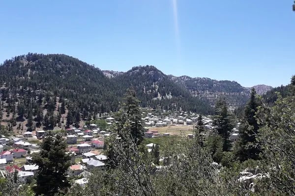 Çukurabanoz Köyü Muhtarlığı BEKİR GÜCÜK - Resim 2
