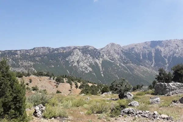 Çukurabanoz Köyü Muhtarlığı BEKİR GÜCÜK - Resim 5