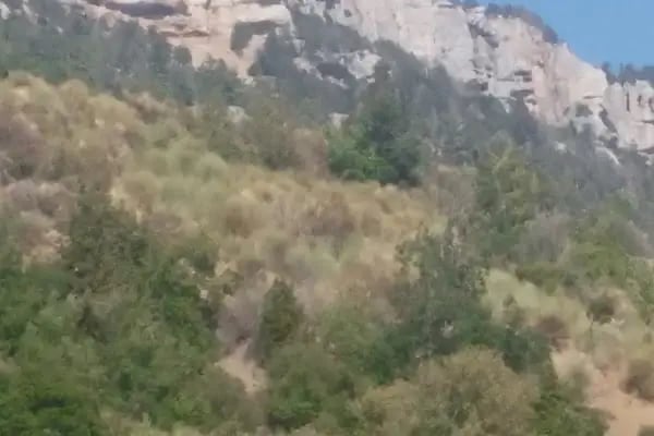 Çukurabanoz Köyü Muhtarlığı BEKİR GÜCÜK - Resim 13
