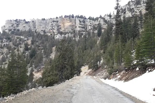 Çukurabanoz Köyü Muhtarlığı BEKİR GÜCÜK - Resim 6