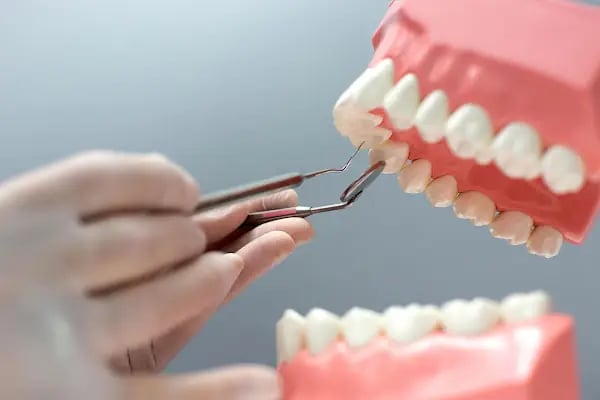 Prof. Dr. Nilgün &amp; Bora ÖZTÜRK - Dental Hayat Ağız ve Diş Sağlığı Polikliniği - Resim 7