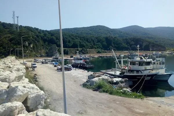 Yeniköy Boğaz (bayramdere) Kamp Alanı Günlük kiralık Kamp Çadırı - Resim 10