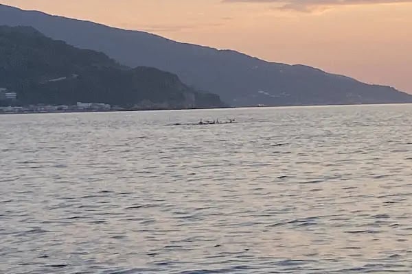 Yeniköy Boğaz (bayramdere) Kamp Alanı Günlük kiralık Kamp Çadırı - Resim 17