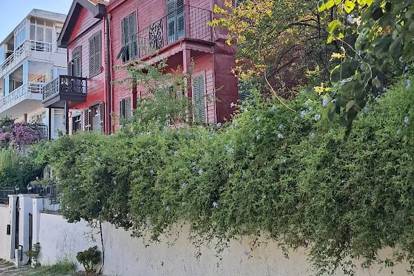 Burgazadası Aya Nikola Çay Bahçesi - Resim 10