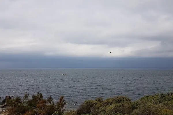 Burgazadası Aya Nikola Çay Bahçesi - Resim 5