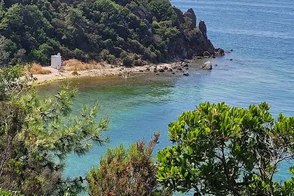 Burgazadası Aya Nikola Çay Bahçesi - Resim 4