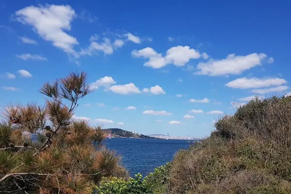 Burgazadası Aya Nikola Çay Bahçesi - Resim 11