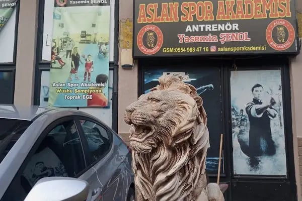 Aslan Spor Akademisi - Resim 16