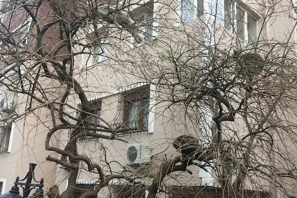 Sarmaşık Sk. Girişi Zübeyde Hanım Parkı - Resim 2