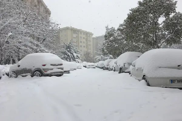 Sarmaşık Sk. Girişi Zübeyde Hanım Parkı - Resim 4