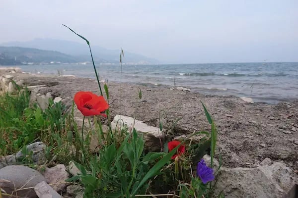 Saff-Et Lezzet-İ Adem - Resim 20